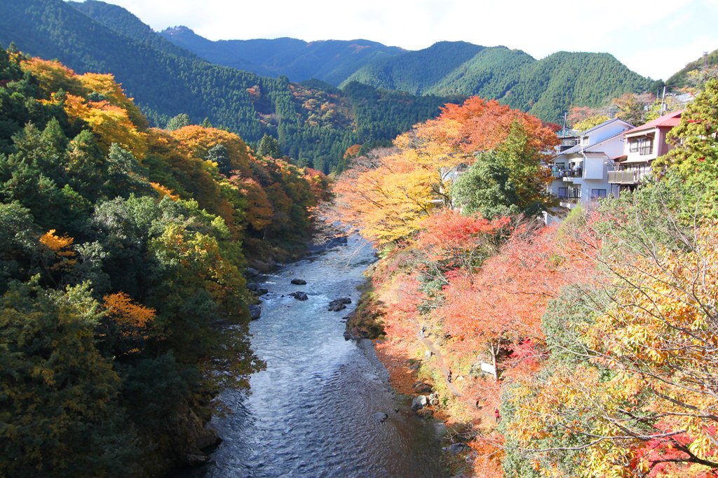 🏞️ 미타케 계곡(御岳渓谷) 이미지 8